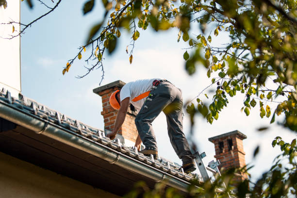 Professional Roofing Contractor in Decorah, IA